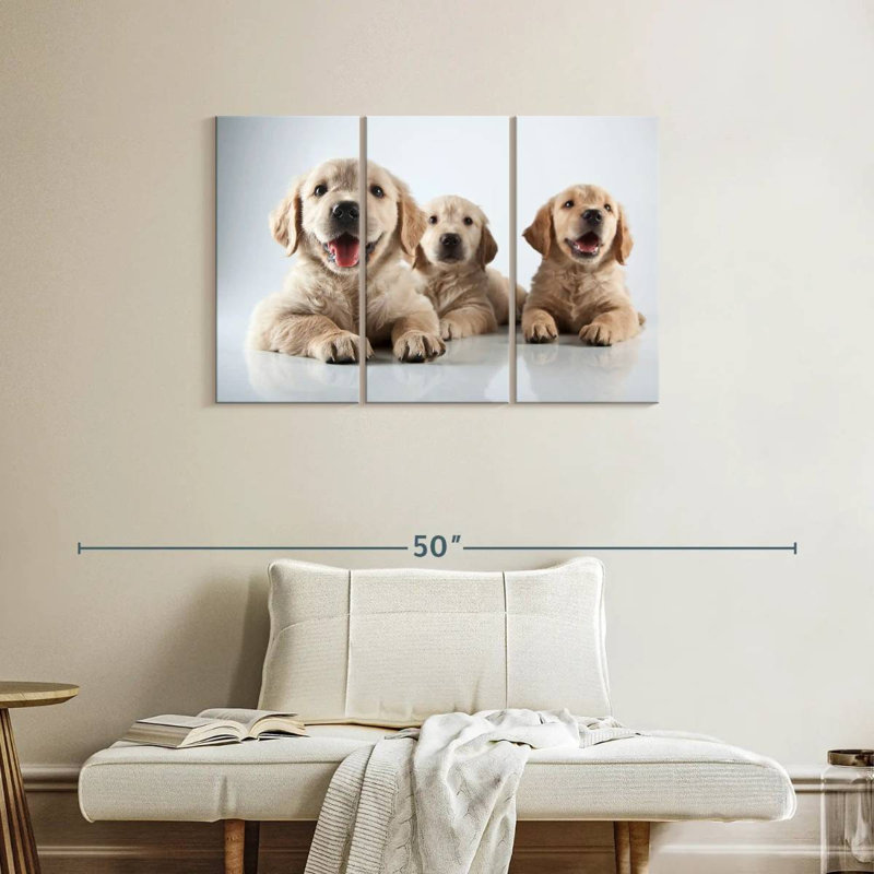 Brampt Golden Retriever de Brampt, H 24 po x l 38 po