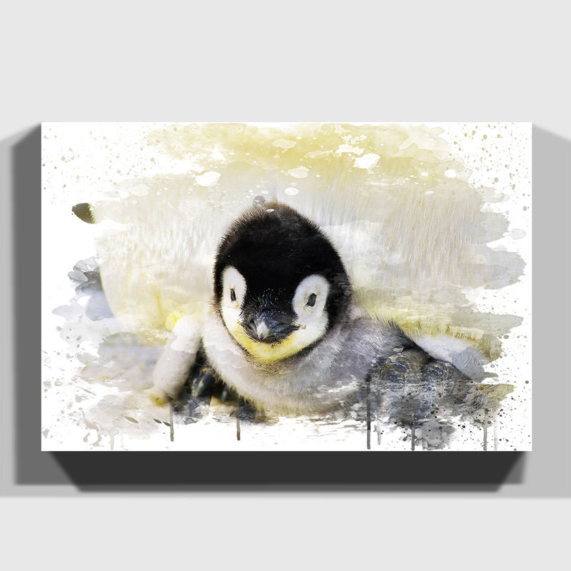 Baby Penguin - Wall Art, 35cm H x 50cm W, Wrapped Canvas