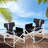 Raylin Folding Camping Chair