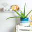 Nicola Spring - Reactive Glaze Plant Pots-63880890-63880896