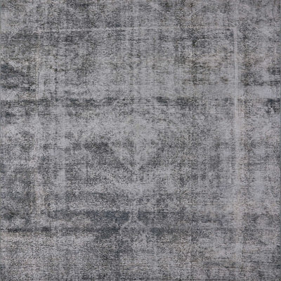 Oriental Indoor Rug