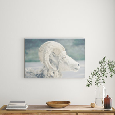 Parvez Taj - Single Picture Frame Print