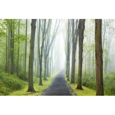 Country Road VIII by James McLoughlin - Photograph