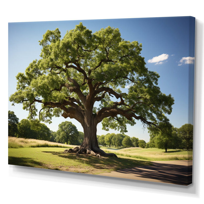 Trees Oak Majestic Oak II - Floral Wall Decor159, H 24 po x l 32 po x P 1 po