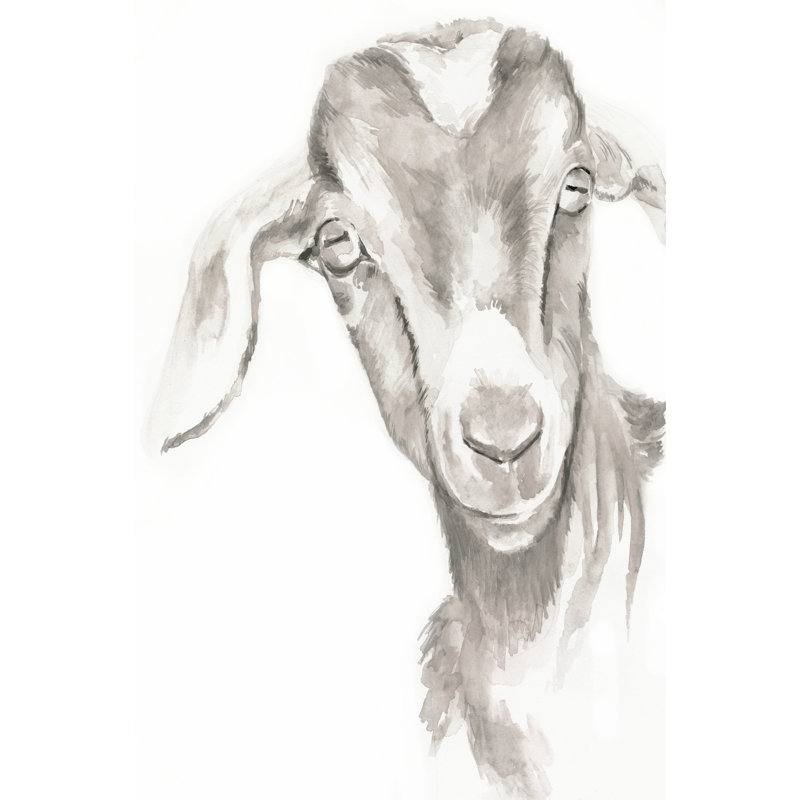 Farm Faces IV by Jennifer Paxton Parker - Wrapped Canvas Art Prints, 30cm H x 20cm W
