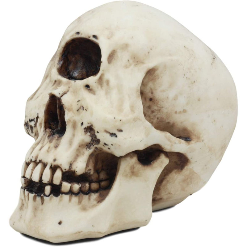 Harrielson Harrielson Cyclops Skull