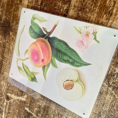 Handmade Plants & Flowers Wall Decor on Metal
