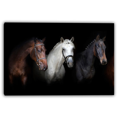 Art sur toile, "Regal Trio"