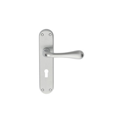 Astro Lock Door Handle