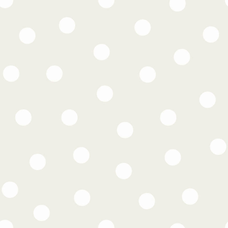 Rouleau de papier peint L 33 pi x l 20,9 po, Argent