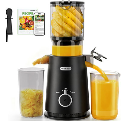Presse-agrumes à froid avec presse-agrumes à gros débit de 4,35 po, machine à jus de fruits entiers à mastication lente