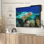 Tortue sous l'eau, impression sur toile-102859254
