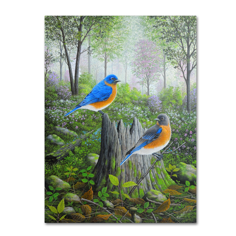 « spring springs », reproduction d’impression sur toile tendue, H 19 po x l 14 po x P 2 po