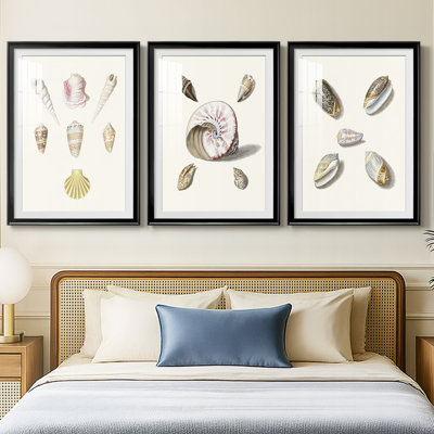 Pastel Knorr Shells I  -Custom Framed  Premium Print W Matt - 3 Pieces