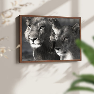 Lion et lionne - reproduction encadrée - réarmable