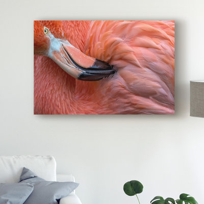Wrapped Canvas Wall Art - Xavier Ortega 'Flamingo Close Up' Wall Art for Living Room, Bedroom, or Office Décor - 12x19