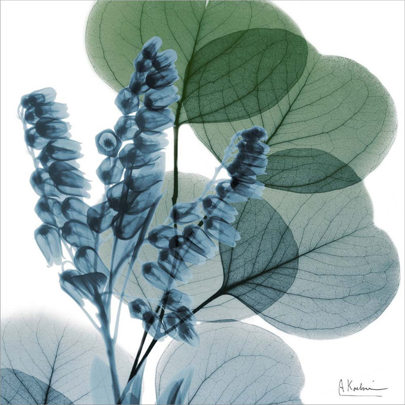 «Lilly of Eucalyptus» par Albert Koetsier, art mural sur toile