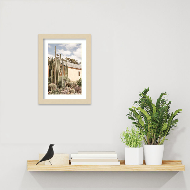 Daisey Karoo Garden 02 by Shot by Clint Wood Framed Wall Art Print, Brown , 13" H x 10" W