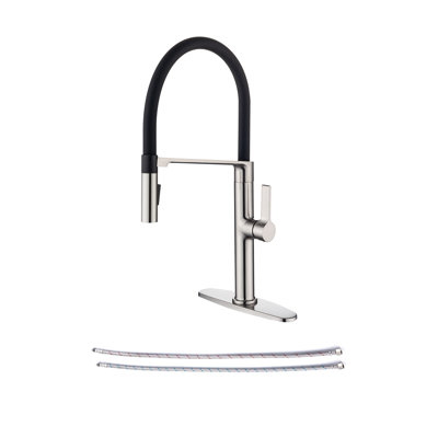 Rainlex Pull Out Kitchen Faucet