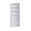 Frogerth 197.5cm H Standard Bookcase-738040727-738040723