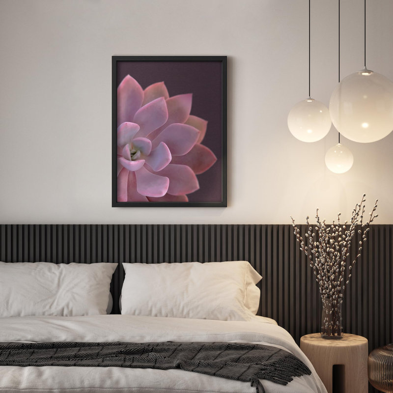 Gros plan, pastel, plante grasse, gros plan, Noir, H 14 po x l 11 po
