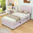 Twin Upholstered Platform Bed with Twin Trundle-1289046883