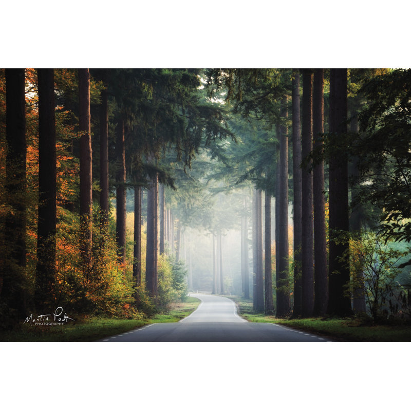 «Mysterious Roads» par Martin Podt - reproduction imprimée, L 12 po x H 8 po, Toile tendue