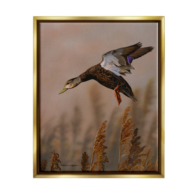 Ax-702-Giclee " Duck Flying " by © Richard Clifton