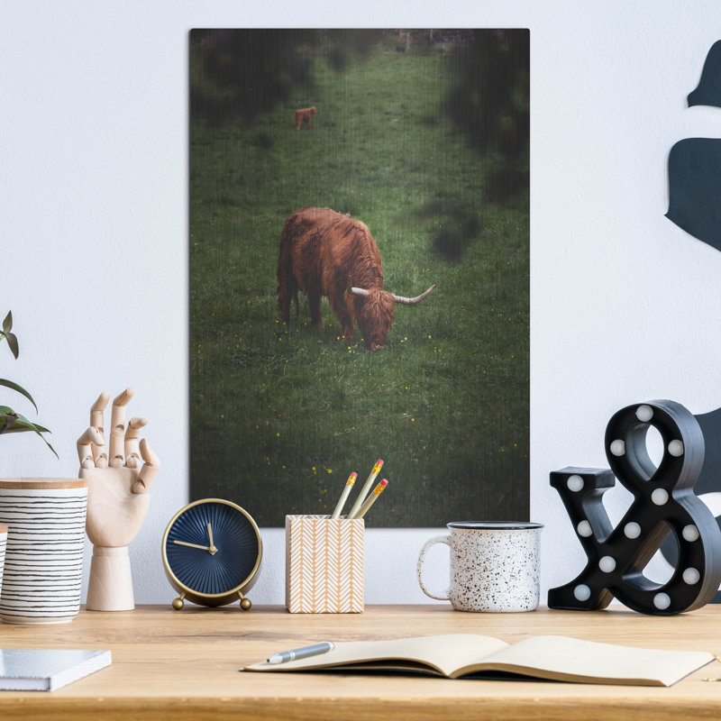 «Grazing Highlander» par Nicklas Gustafsson sur métal, H 16 po x l 12 po