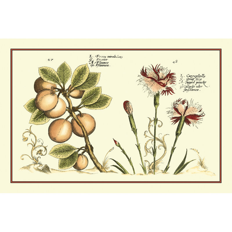 Garden Botanica II by Vision Studio - Wrapped Canvas Print, 30cm H x 46cm W