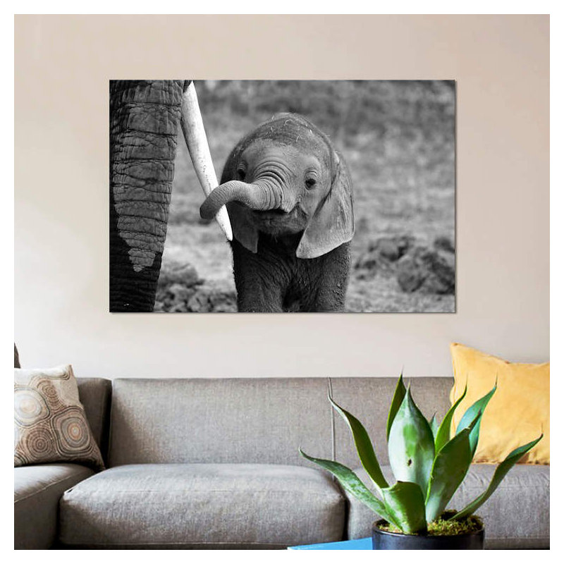 Bjoern Alicke - Wrapped Canvas Print, 66.04 cm H x 45.72 cm W x 1.91 cm D
