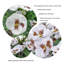 GreenBrokers 2 x Artificial Purple & White Pansy Rattan Hanging Baskets (52cm/20in)-2096858319