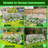 Portable Mini Greenhouse-111160147
