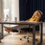 Fauteuil de bureau à hauteur ajustable avec repose-pieds Fauteuil d'ordinateur confortable à dossier haut Fauteuil de jeu inclinable en cuir durable