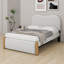 Lit tapissier avec base de lit gigogne et pieds de support en bois-76529381