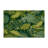 Botanical Green Indoor and Outdoor Area Rug-982452742