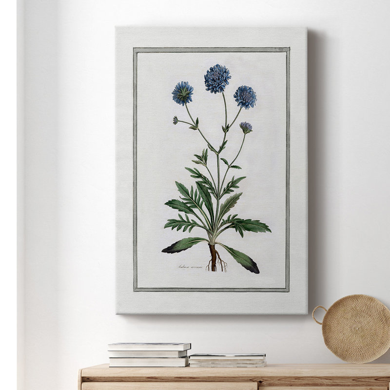 «Soft Botanical II», impression sur toile tendue