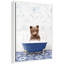 «Bear Cub in Eclectic Blue Bathaign» par Amy Peterson, reproduction d'art sur toile encadrée