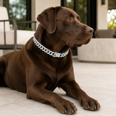 Collier avec strass cubain et collier pour chien
