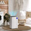 Dehumidifier