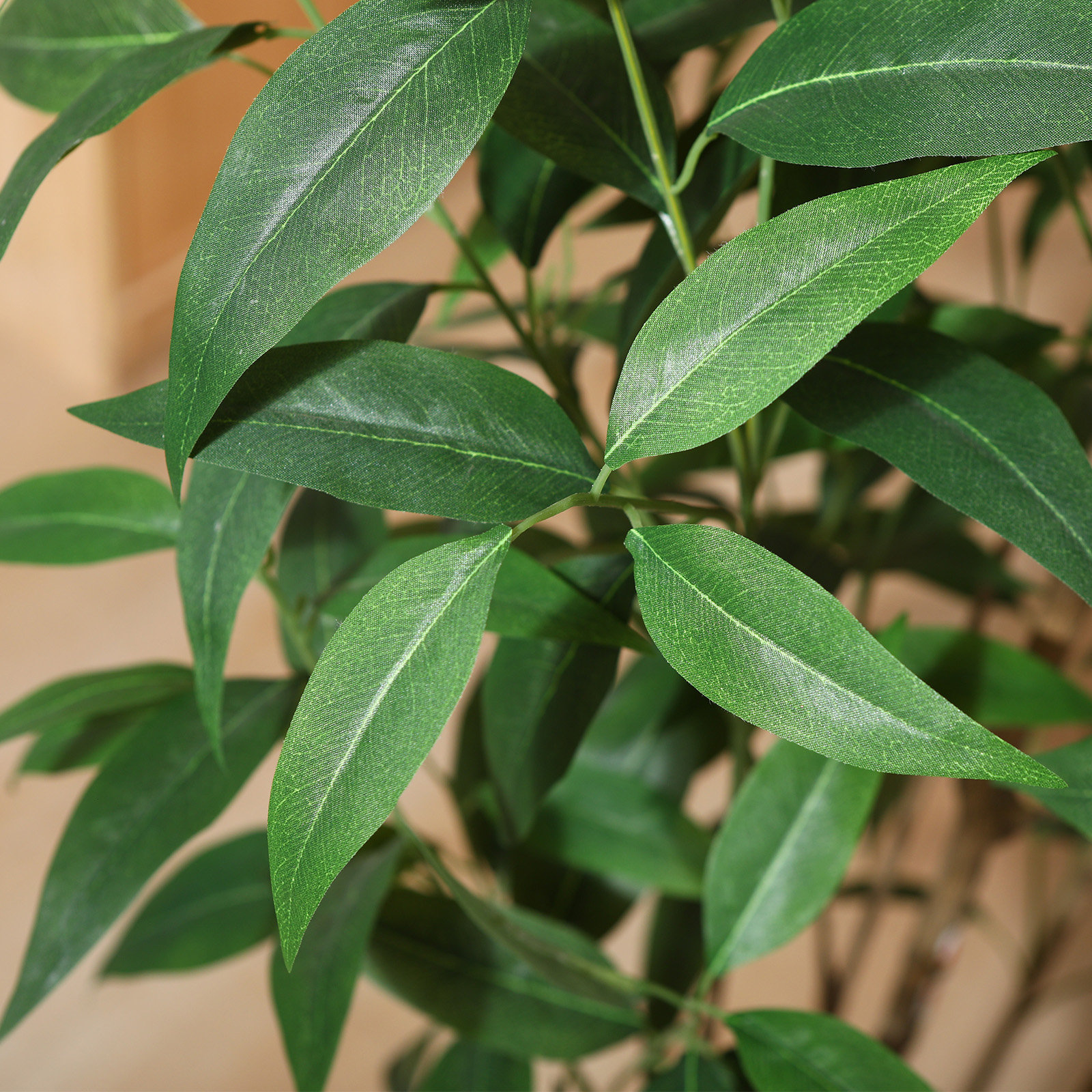 Ashwell Eucalyptus Tree in Planter, 60