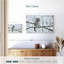 Chouette lapone grise Brampt-107682176