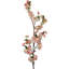 Arrangement de fleurs de cerisier