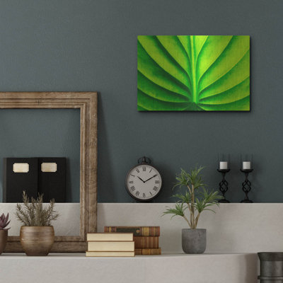 «Green Design 2» par PhotoINC Studio