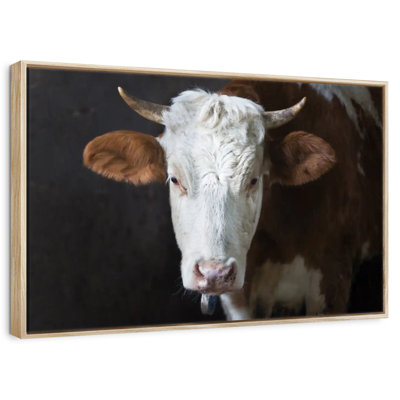 Visage de vache sérieux