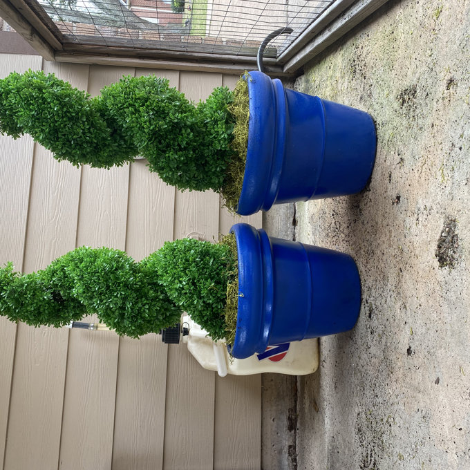 43.30'' Faux Boxwood Topiary in Pot (Set of 2) - 43''