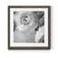 Renoncule foncé IV - cadre photo-1179599685-1179620649-1179599675