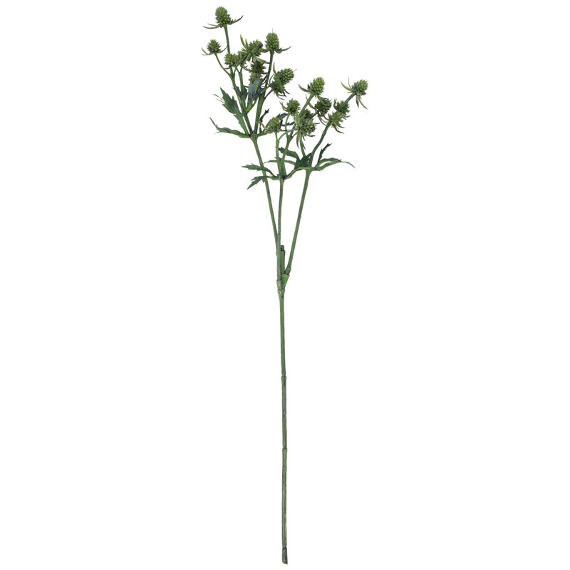 Delphinium Sprays, Vert
