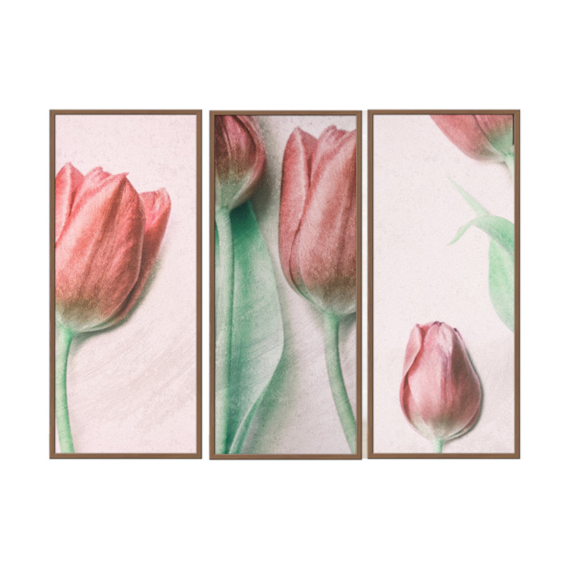 Nature Inspired Red Elegance by  - 3 Piece Picture Frame Photograph Set on Paper, 24" H x 36" W 