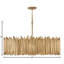 Hinkley Roca Chandelier